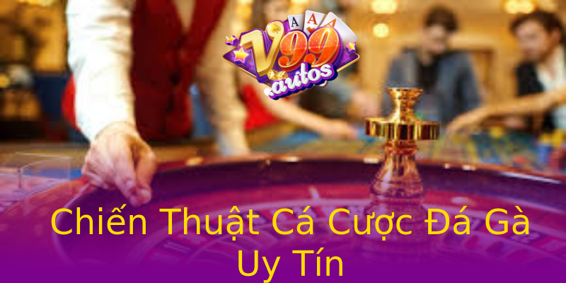 Chiến Thuật Cá Cược Đá Gà Uy Tín Chiến Thuật Cá Cược Đá Gà Uy Tín