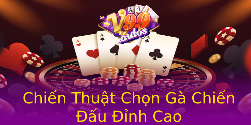 Chiến Thuật Chọn Gà Chiến Đấu Đỉnh Cao Chiến Thuật Chọn Gà Chiến Đấu Đỉnh Cao