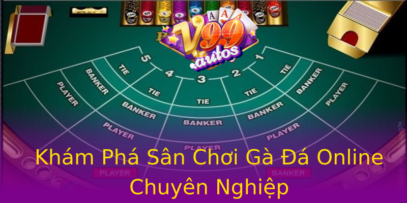 Khám Phá Sân Chơi Gà Đá Online Chuyên Nghiệp Khám Phá Sân Chơi Gà Đá Online Chuyên Nghiệp