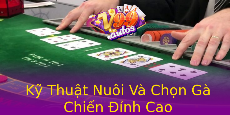 Kỹ Thuật Nuôi Và Chọn Gà Chiến Đỉnh Cao Kỹ Thuật Nuôi Và Chọn Gà Chiến Đỉnh Cao